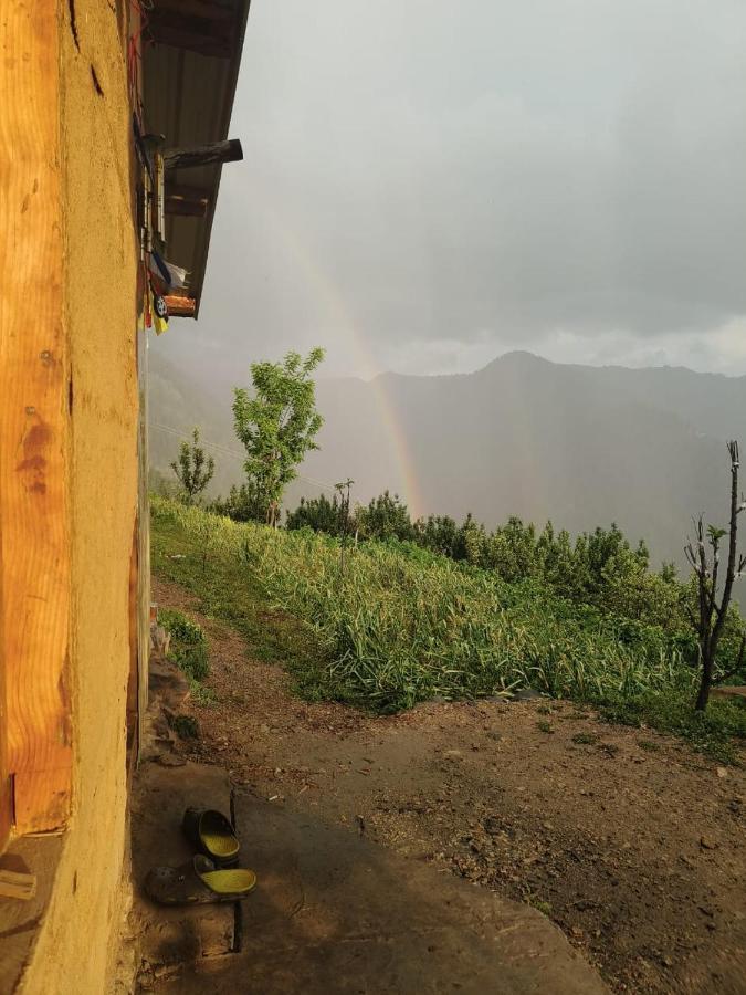 Villa Deep In Woods Jibhi Exterior foto